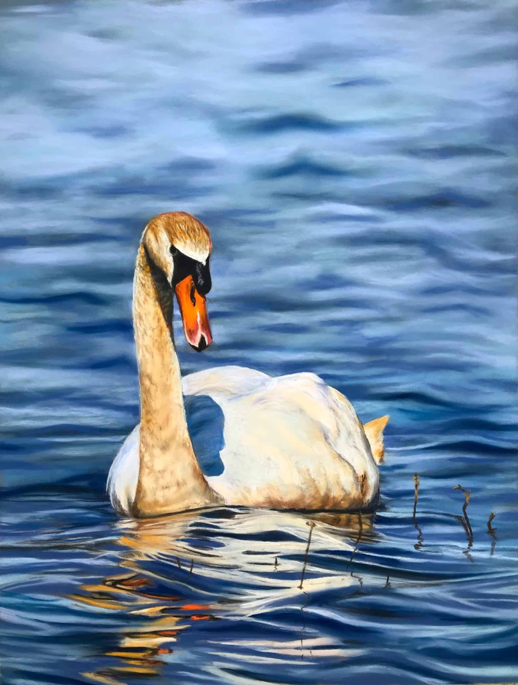 Teresa Seals Art - Mute Swan