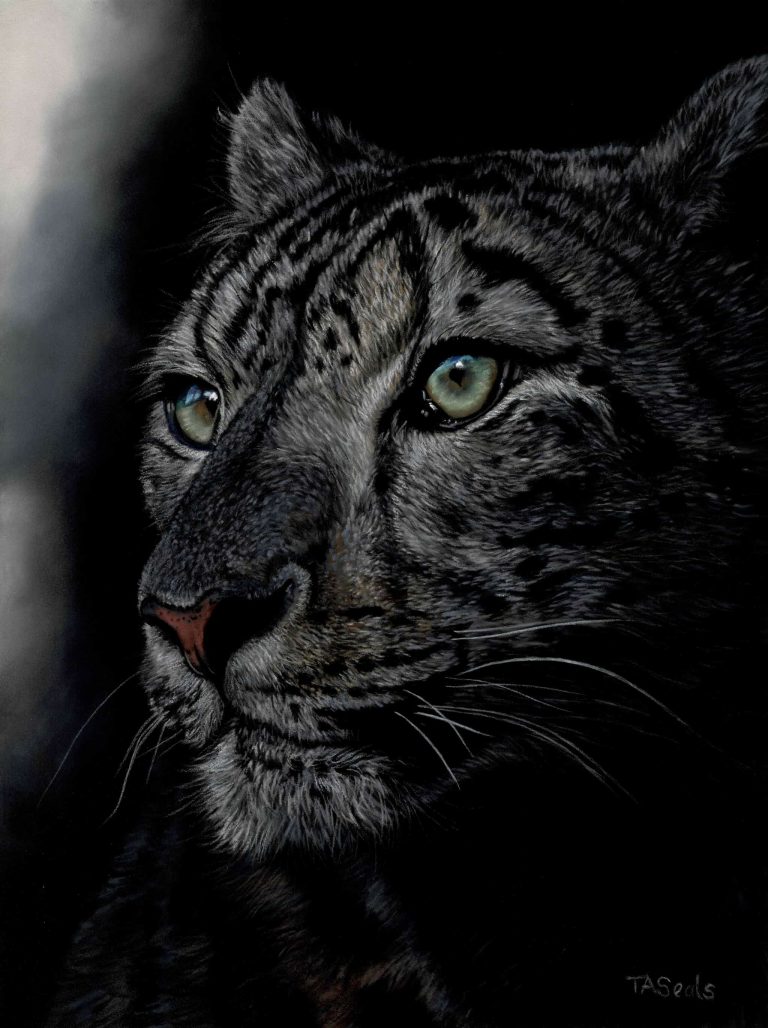 Teresa Seals Art - Snow Leopard II