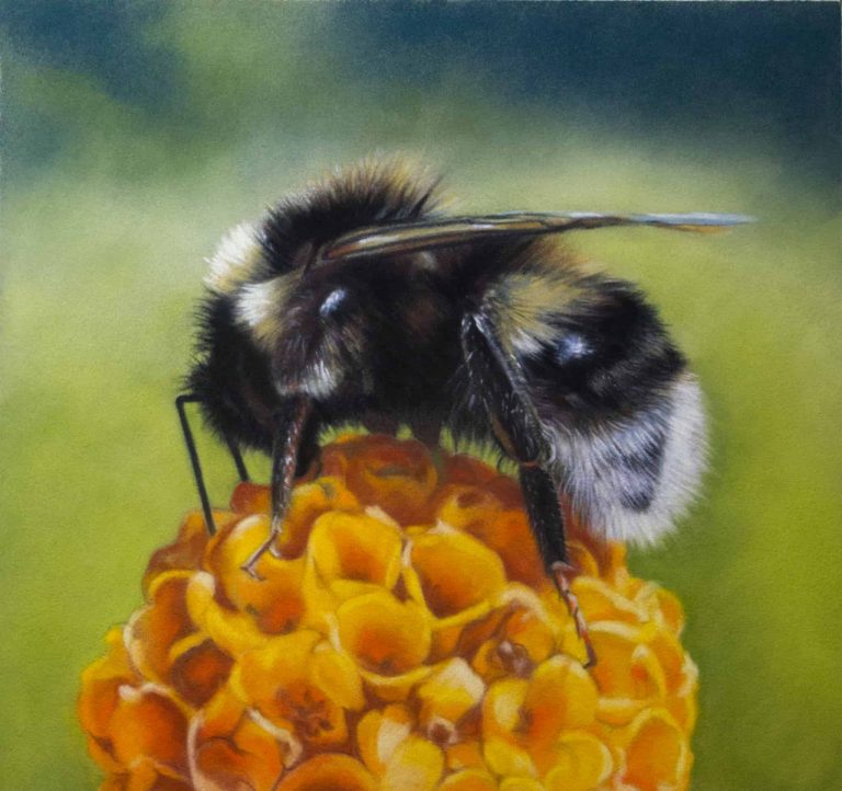 Teresa Seals Art - Springtime Bee