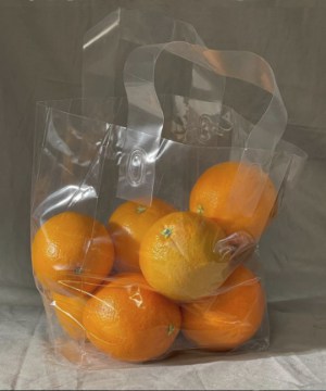 Transparent bag of brightly coloured oranges