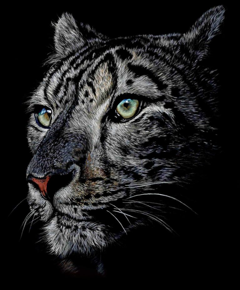 Teresa Seals Art - Snow Leopard