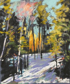 Snowy woodland pastelled scene with sun shining through fir trees