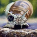 Close up painting of a snail