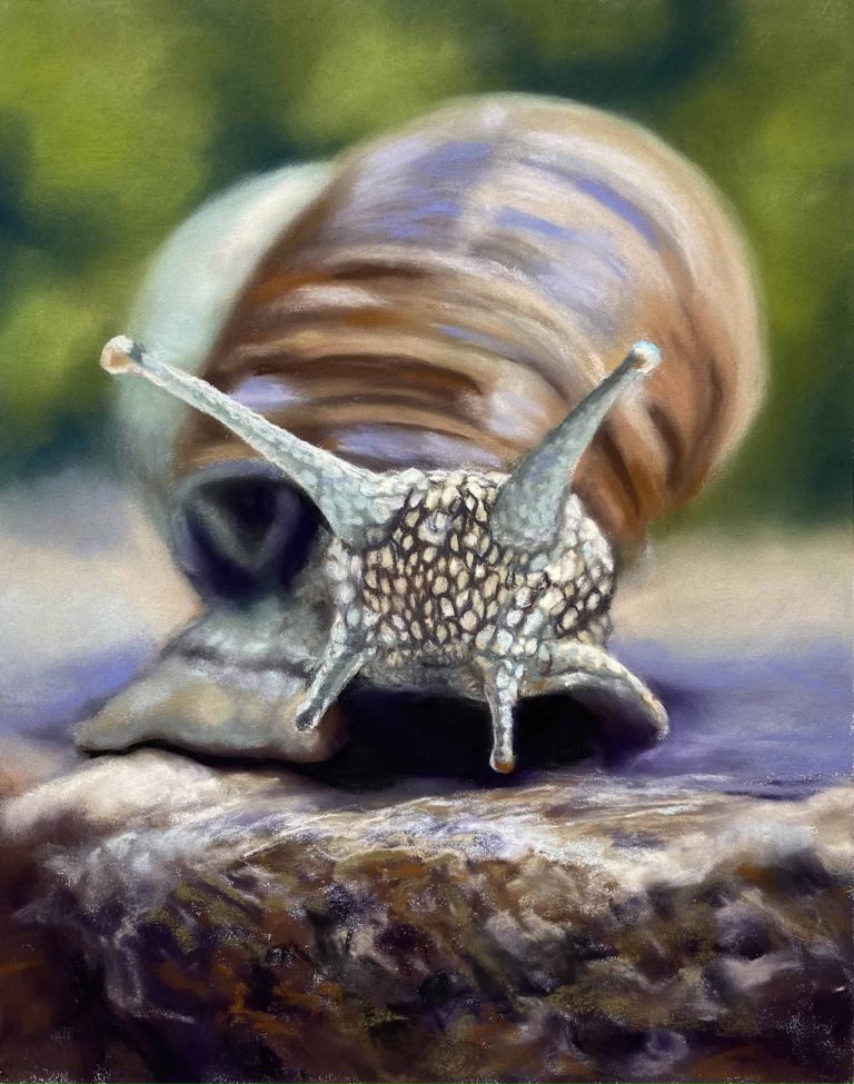 Close up painting of a snail