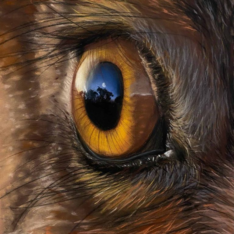 Closeup of a hare's eye with moon and trees reflected